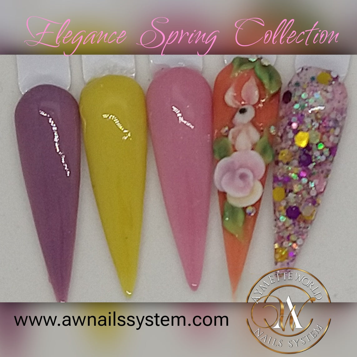 Acrylic Powder Collections Variety 10g, 20g, 1 oz