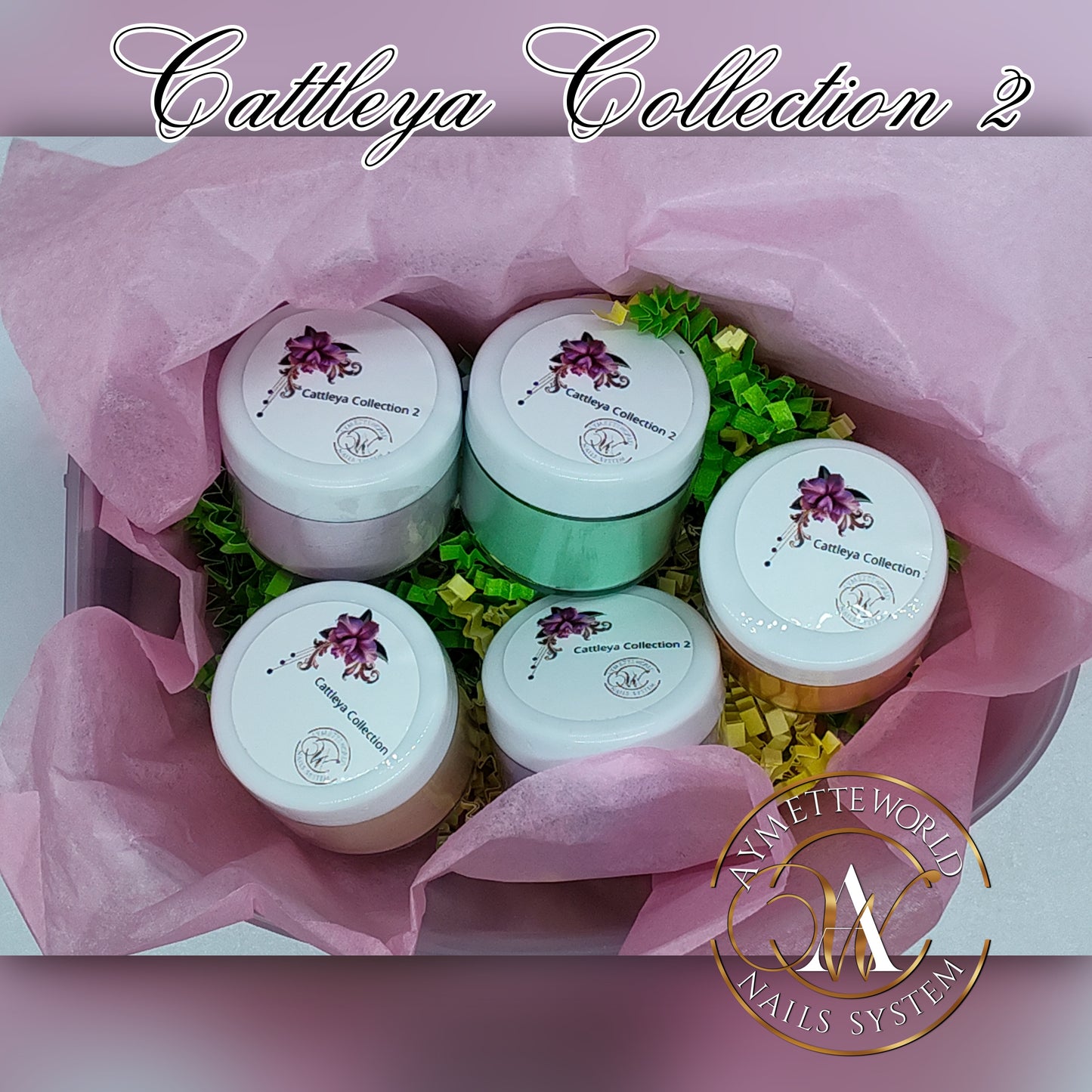 Acrylic Powder Collections Variety 10g, 20g, 1 oz