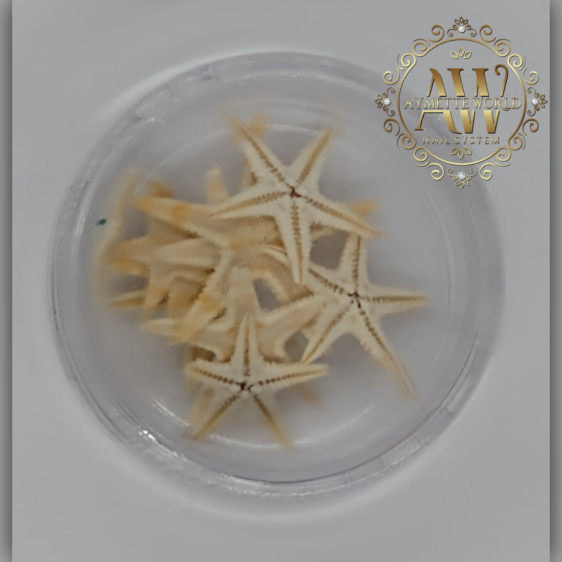 Estrellitas de mar original paquetes de 10, 20, 25 y 30 piezas