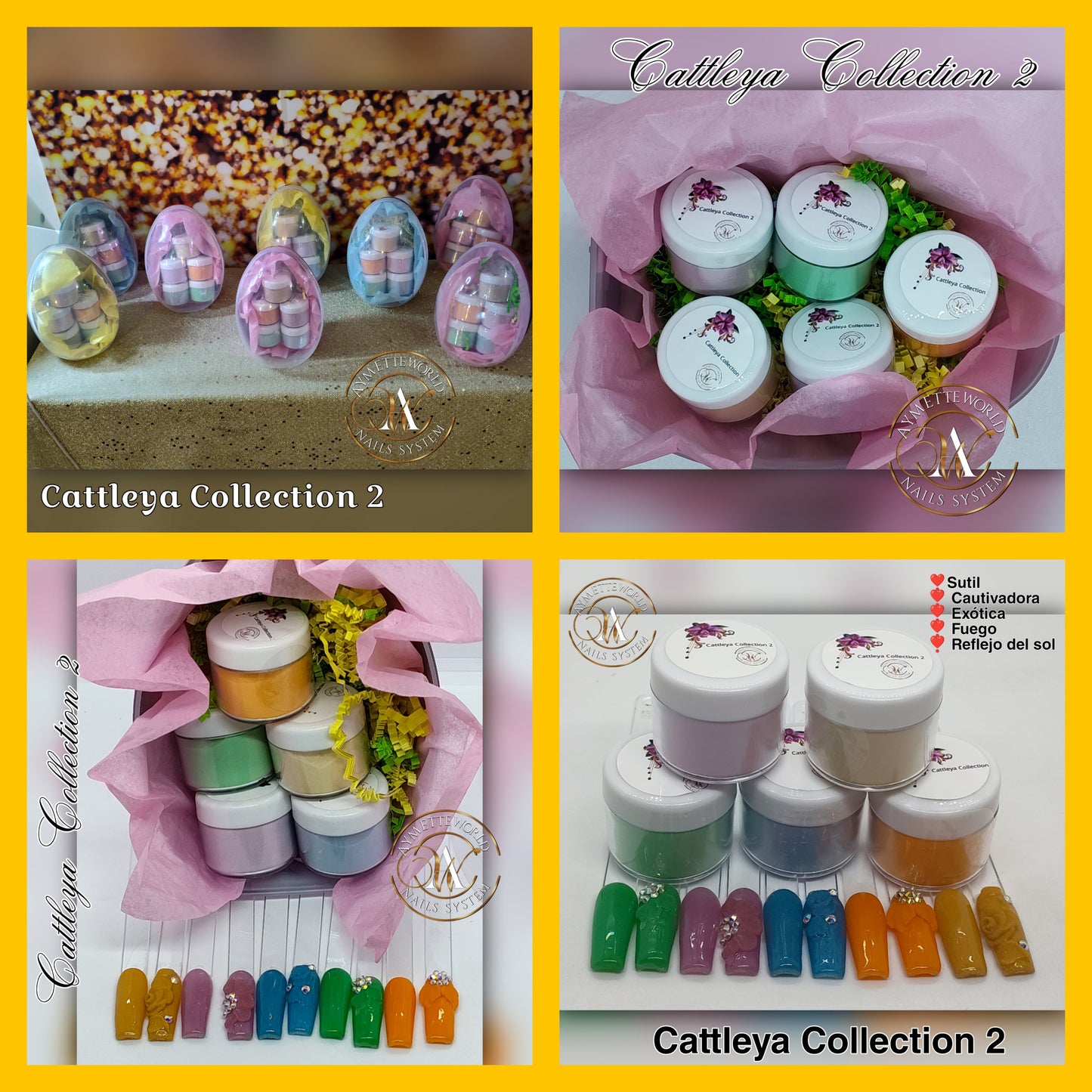 Colecciones de acrílico 10g, 20g, 1 oz