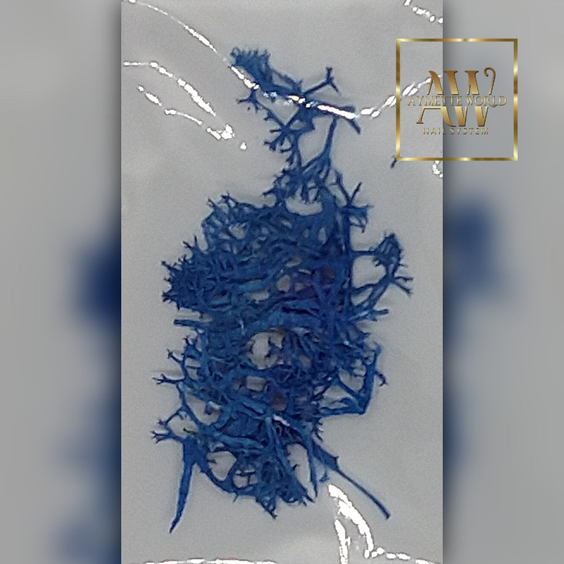 Algas azul Royal #5