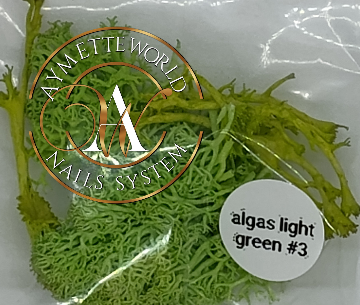 Alga light green #3