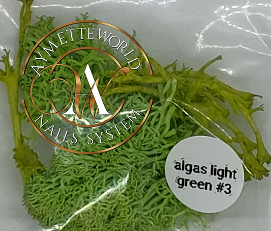 Alga light green #3
