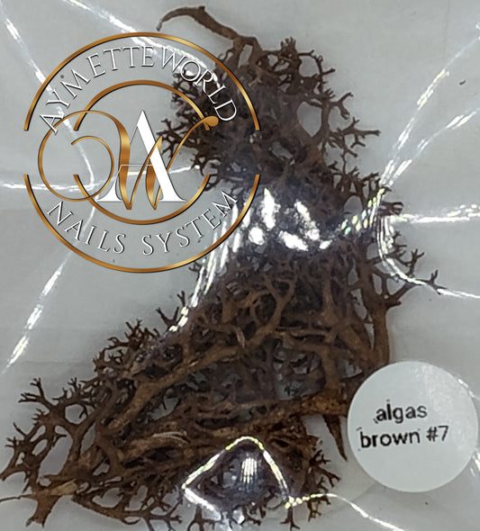 Algas marinas brown #7