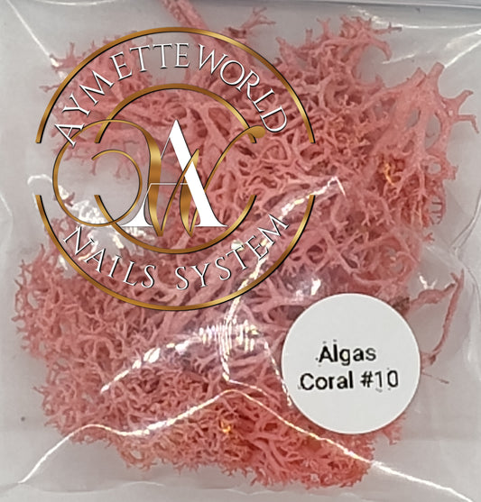 Algas marinas coral #10