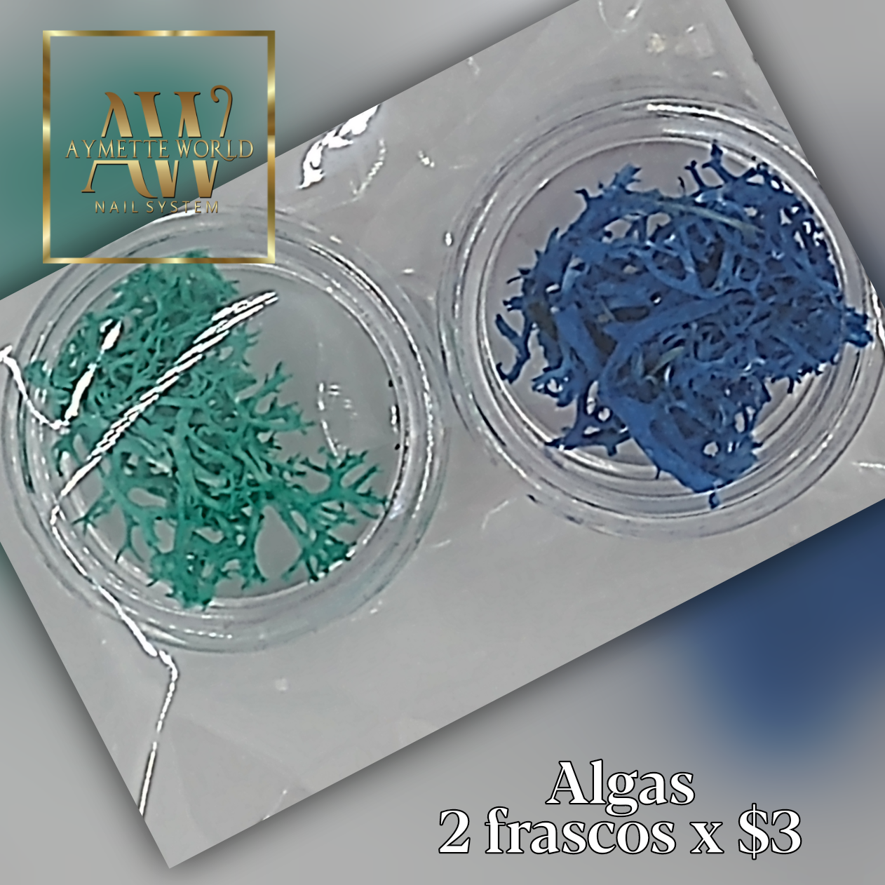 Seaweeds - Algas Marinas variedad de colores