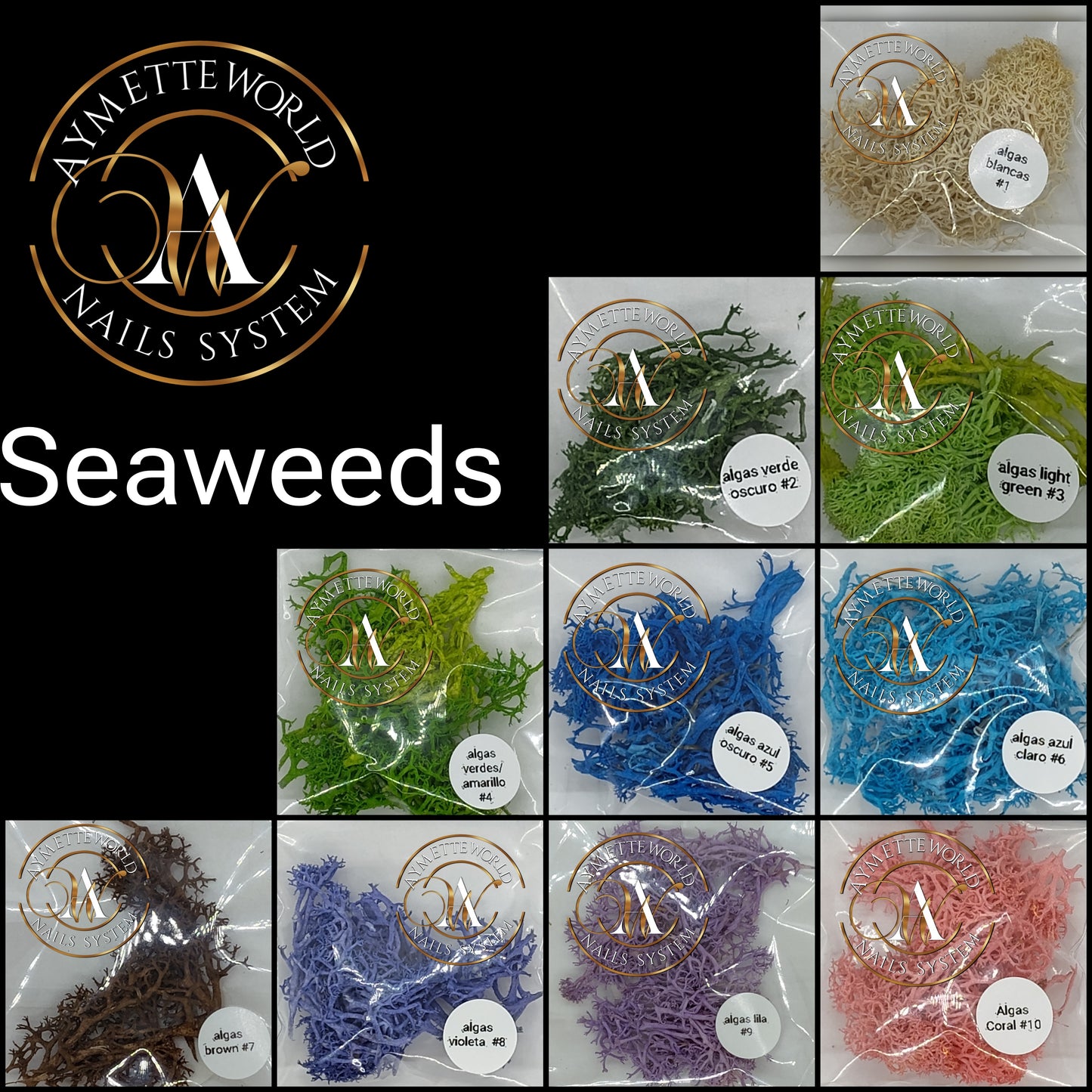 Seaweeds - Algas Marinas variedad de colores