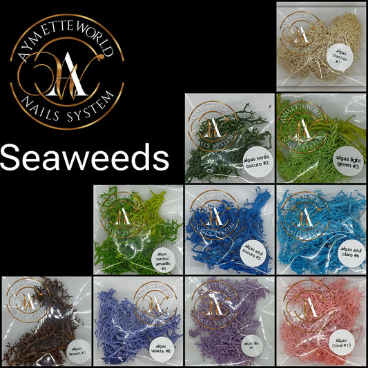 Seaweeds - Algas Marinas variedad de colores