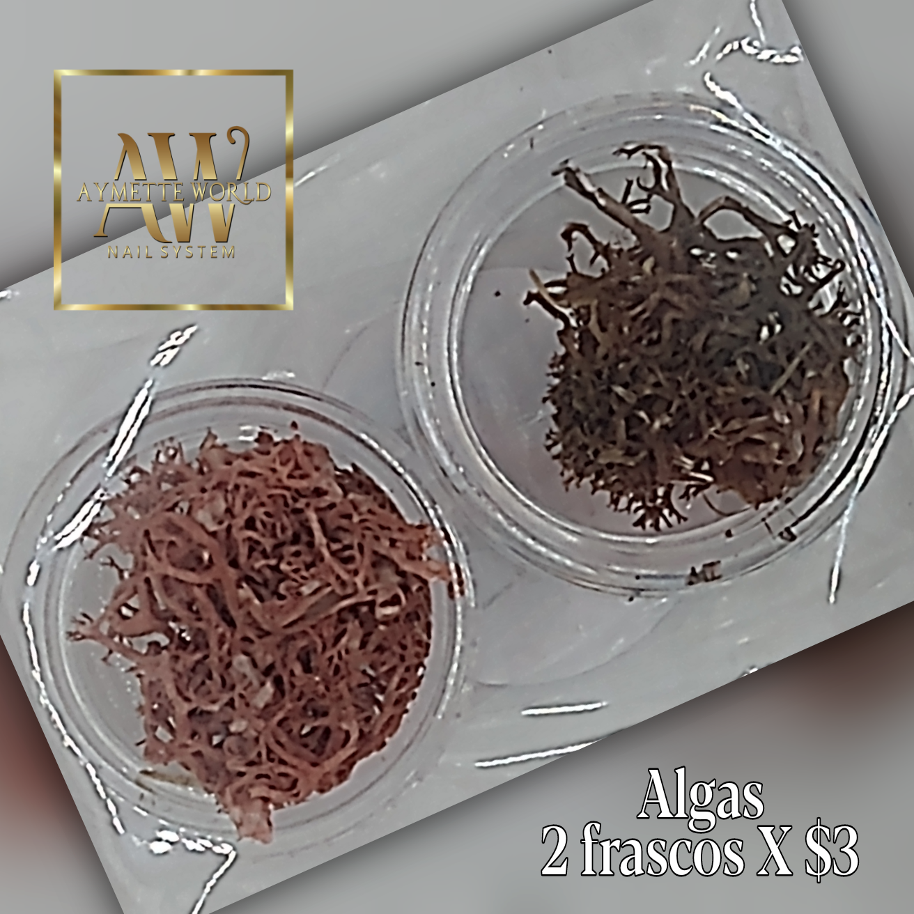 Seaweeds - Algas Marinas variedad de colores