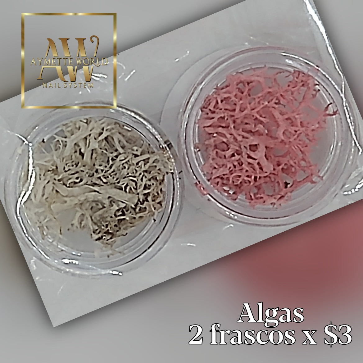 Seaweeds - Algas Marinas variedad de colores