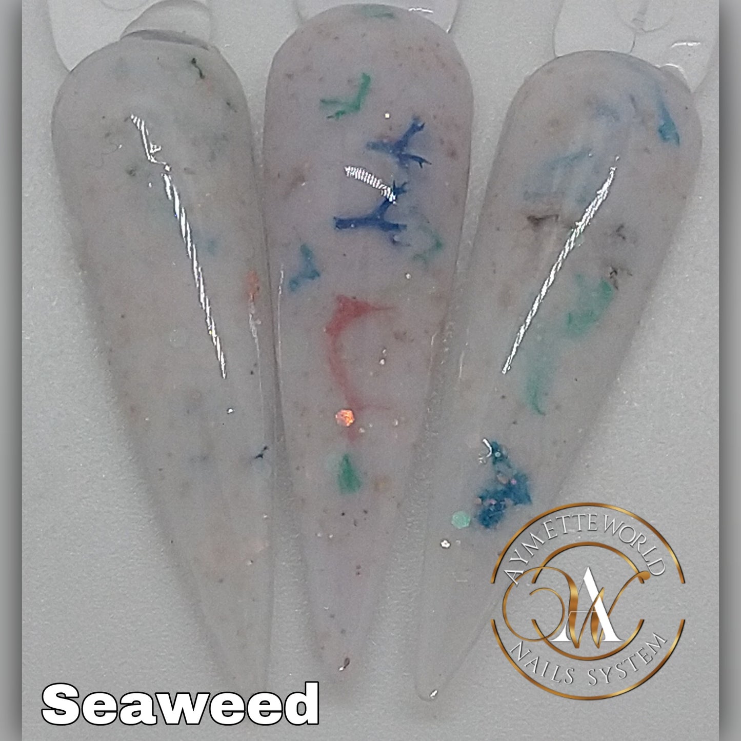 Seaweeds - Algas Marinas variedad de colores