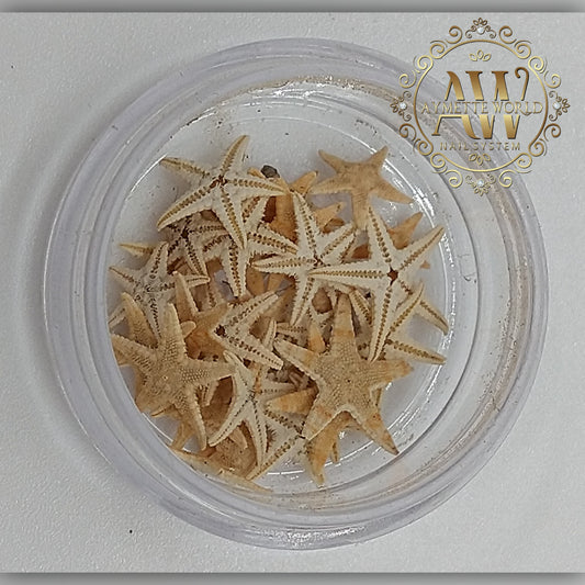 Estrellitas de mar original paq de 25 piezas