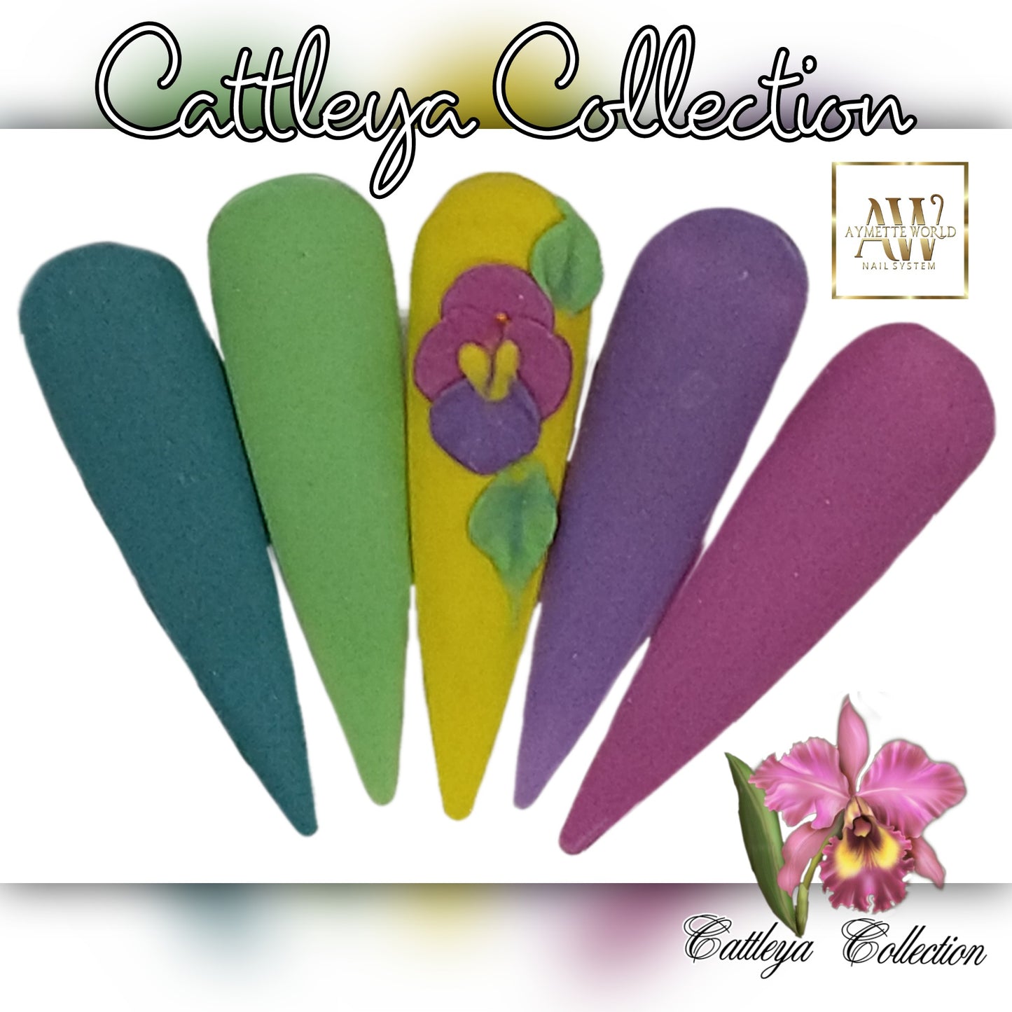 Cattleya Collection 20g