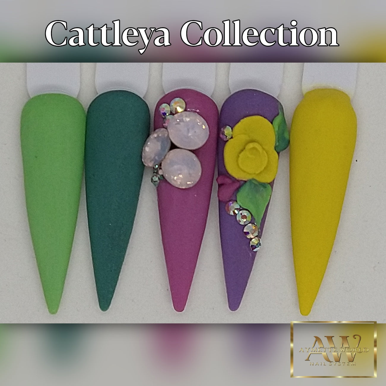 Cattleya Collection 20g